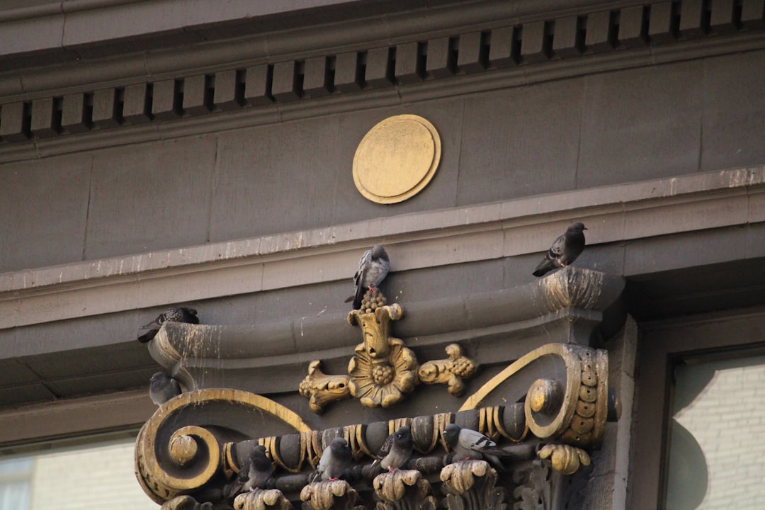 devenez expert en gestion budgétaire avec le métier de public finance controller : superviser les finances publiques, optimiser les ressources et garantir la transparence des comptes au sein des organismes gouvernementaux.